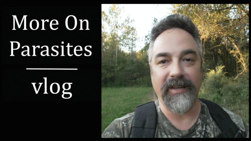 Screenshot from 2025-10-06 07-23-12