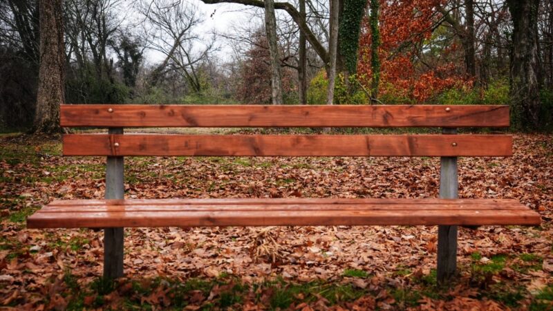 597452430_10235925918840323_4488658563184706145_n