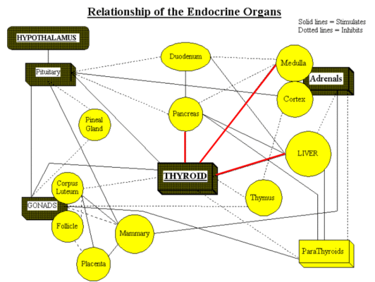 Screenshot_2025-12-18_19-56-22