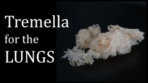 Tremella for the LUNGS