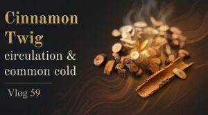 Cinnamon Twig Vlog 59